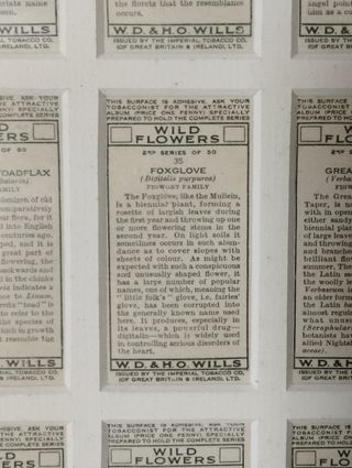 Quadro Flores - 50 Cartões Cigarros Antigos