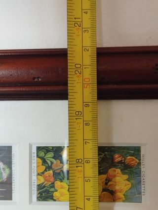 Quadro Flores - 50 Cartões Cigarros Antigos