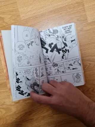 FAIRY TAIL 01 Español