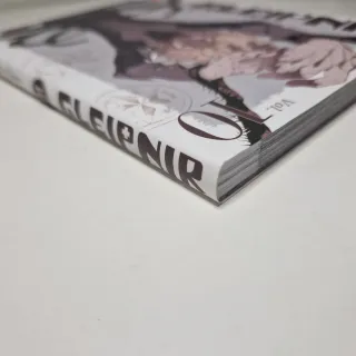 Manga: Gleipnir di Sun Lakeda (volume 10)