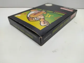 Donkey Kong Jr. Math NES