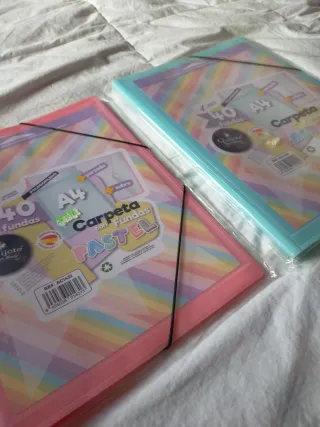 Carpeta rosa pastel A4 con fundas