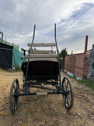Carro para mulo poni o burro