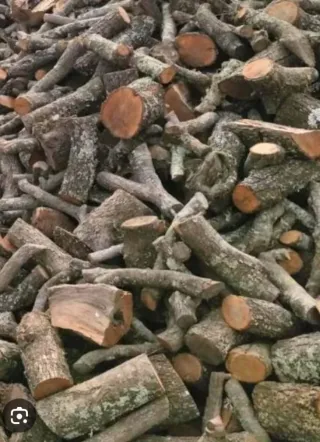 Leña de encina en remolque..