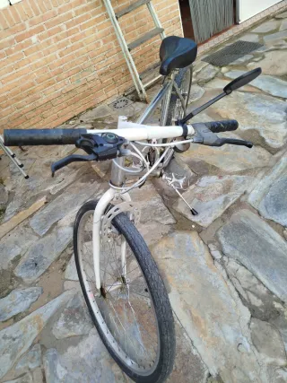 Bicicleta de montaña plateada inoxidable totalment