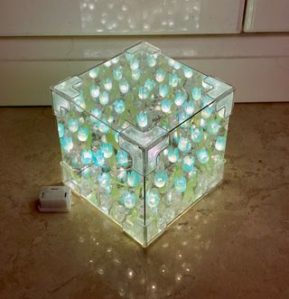 Luce notturna cubo tulipani