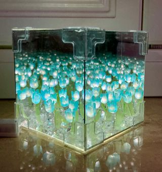 Luce notturna cubo tulipani