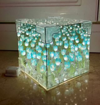 Luce notturna cubo tulipani