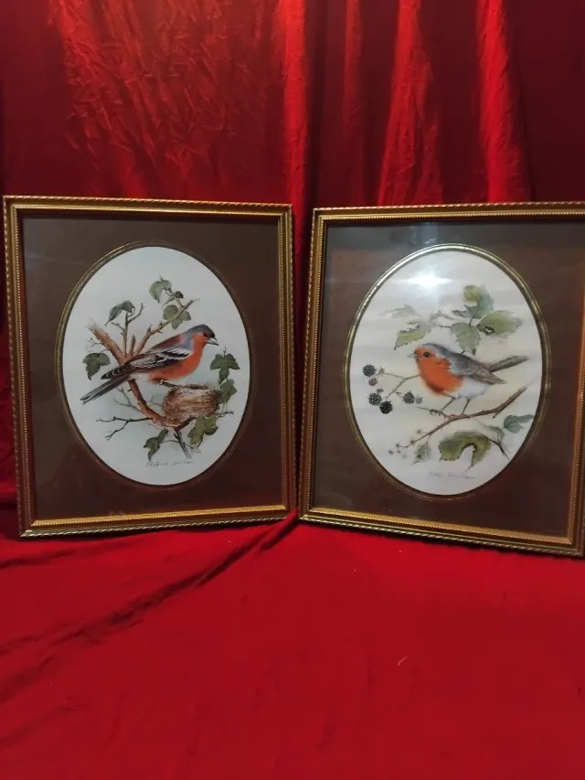 2 Quadri di Uccelli con Cornice Dorata