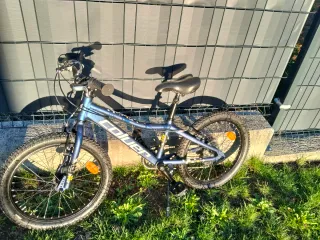 Bicicleta infantil RIDER 20