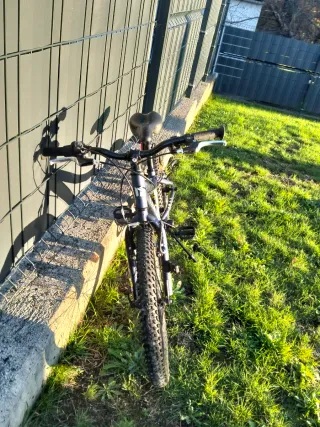 Bicicleta infantil RIDER 20