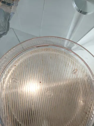 Germogliatore Toraf 4 ripiani