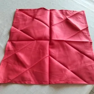 Tovaglia Cotone x 12 persone Anemoni Rossi e Rosa