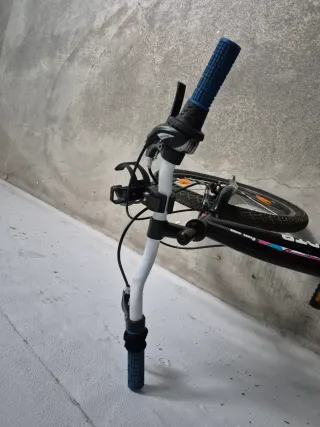 Bicicleta Infantil DTB Fun 200 para 6-8 años