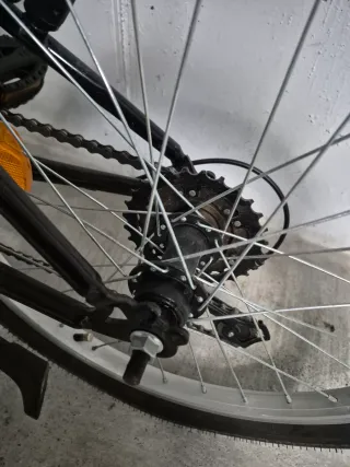 Bicicleta Infantil DTB Fun 200 para 6-8 años