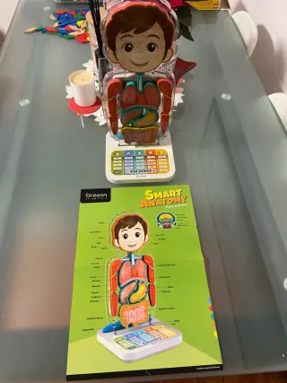 Smart Anatomy Gioco Scientifico Oregon