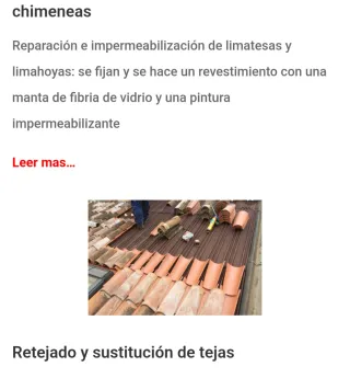 Reparación Velux, Fachadas y Chimeneas