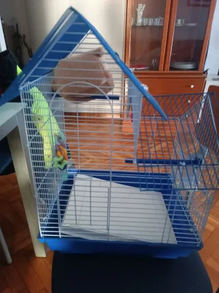Gabbia per piccoli uccelli