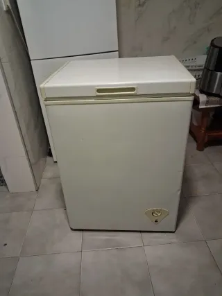 Vendo frigorifero e congelatore grandi bianchi