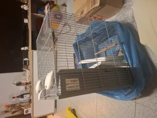 Gabbia per ninfe, ideale per piccoli uccelli