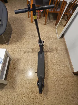 Patinete Eléctrico Xiaomi Pro 2