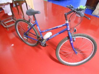 Bicicleta de montaña azul