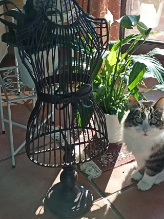 Busto decorativo in ferro battuto