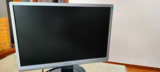 Monitor Philips Brilliance 22 Panorámico