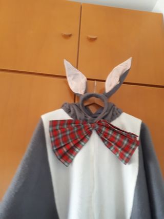 DOS DISFRACES PARA ADULTOS.