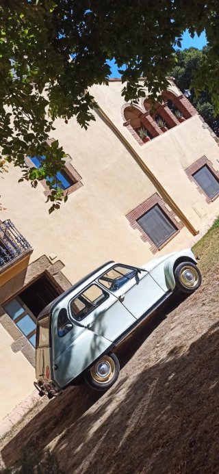 Citroën Dyane 6 de 1974