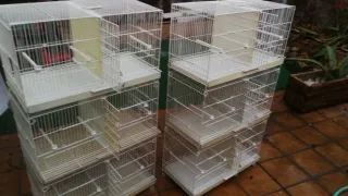 Set di gabbie Pedro 60cm