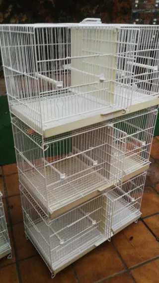 Set di gabbie Pedro 60cm