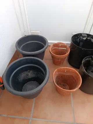 Lotto 26 Vasi in Plastica e Terracotta