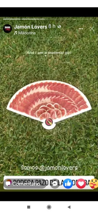 Plato decorativo jamón