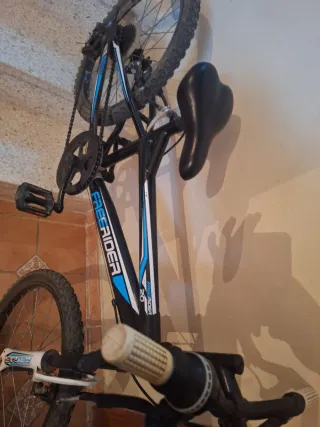 Bicicleta Infantil Freerider 20