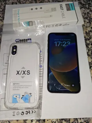 iPhone X Prateado com Capa e Cabo.