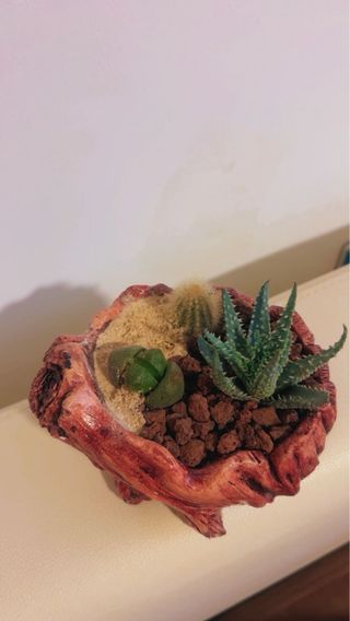 Vasi artigianali mini