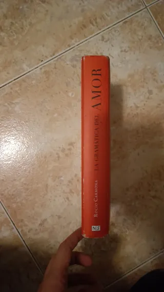 La gramática del Amor