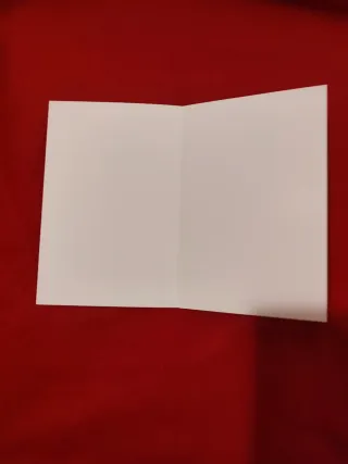 Stampa Natività Madonna Bambino