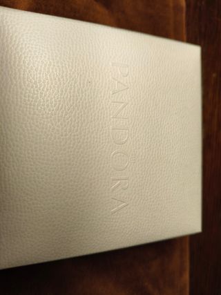 Bracciale Pandora Reflections con 3 Charms