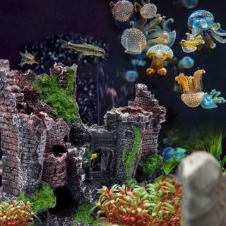 Decorazioni per acquari, Decorazione Acquario