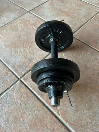 Barra Mancuernas 10kg con discos