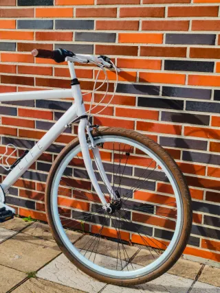 Bicicleta Gravel con manillar dritto