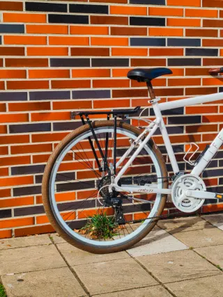 Bicicleta Gravel con manillar dritto