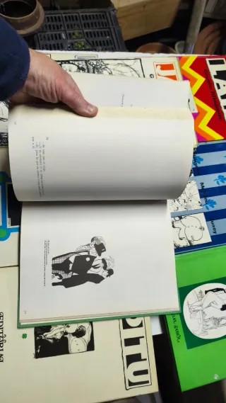 Lote di libri classici con illustratori antichi