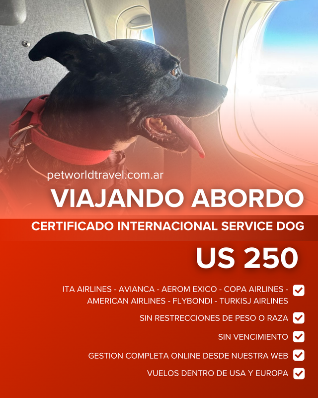 Certificado Perro de Servicio Internacional