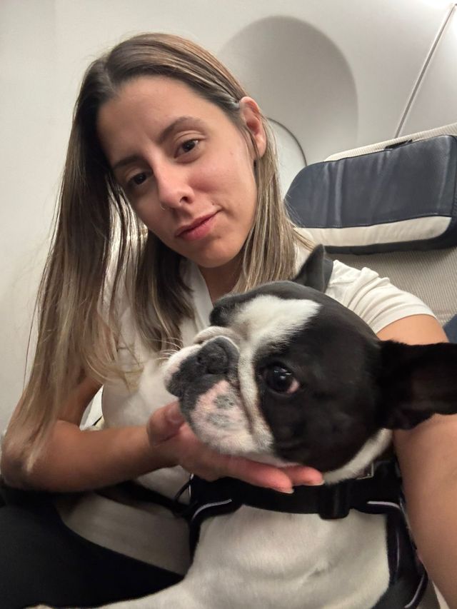 Certificado Perro de Servicio Internacional