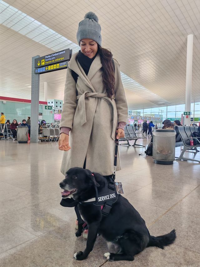 Certificado Perro de Servicio Internacional