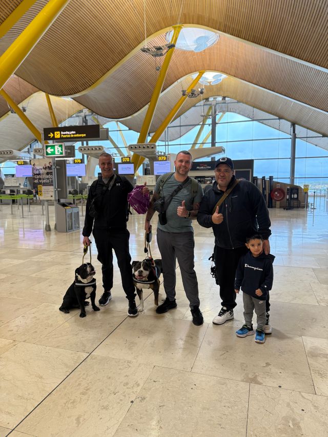 Certificado Perro de Servicio Internacional