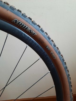 TREK ProCaliber Talla S Montaña